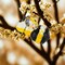 Crystal Expressions 1.0 Inch Honey Bee Everyday Tree Ornament , Summer Bee